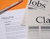 job search job search